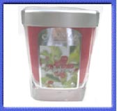 Hollyberry Scented Candle in Jar