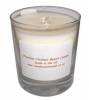 Luxury Premium Coconut Beach Candle Thumbnail