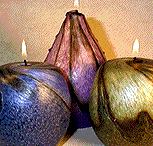 Hand Moulded Fruit Shaped Candles